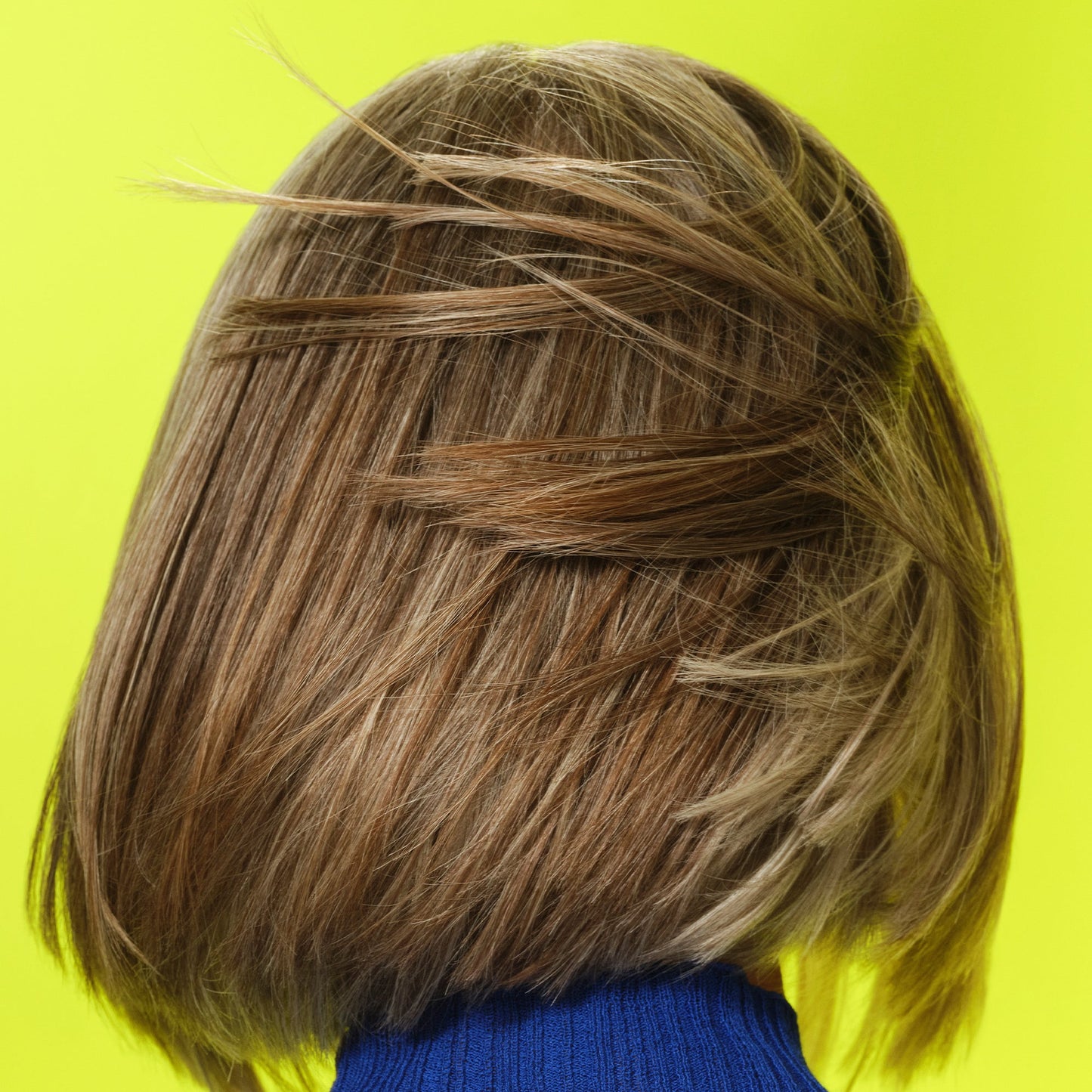 frizz-to-rizz-trio-d2 111725_Vicky_HumidityAntifrizz-Editorial_0538_w2QC_IGF_1x1_05a09617-4ccf-44a2-8545-199321a503e1.jpg