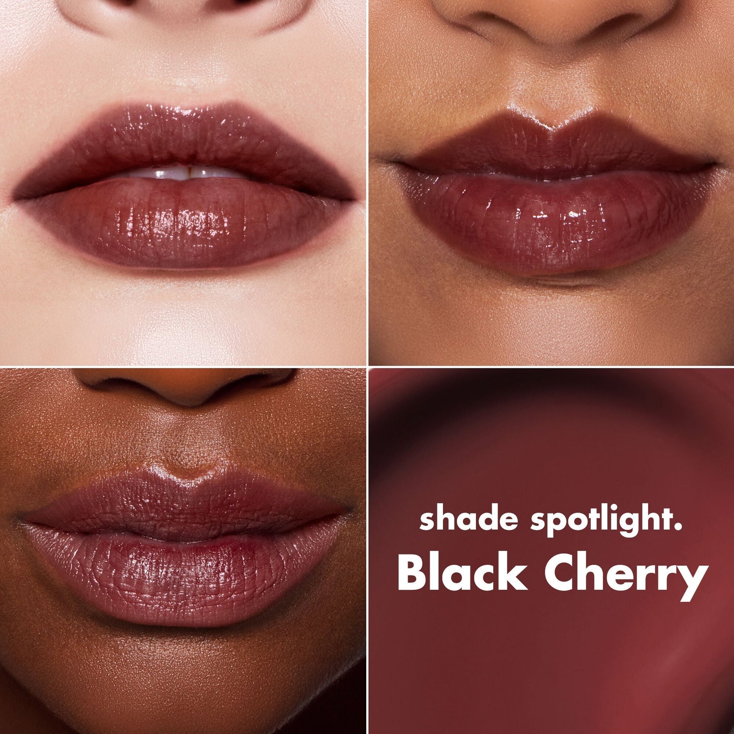 lip-lacquer-b1 0426_EDU_LipLaquer_ShadeChart_BlackCherry.jpg