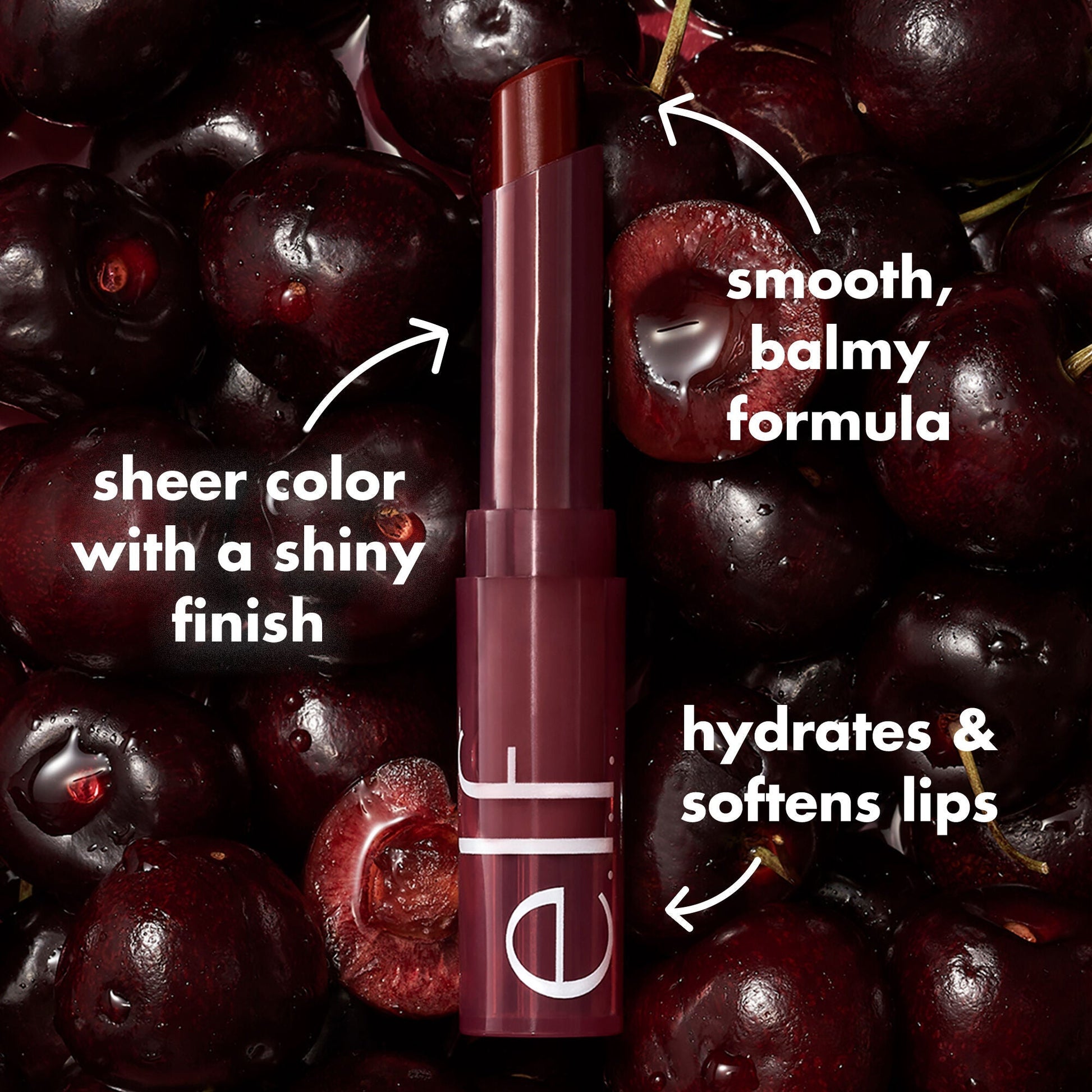 sheer-slick-lipstick-black-cherry-black-cherry-t1 0723_EDU_PDP_SHEERSLICK_BLACKCHERRY_PRODUCTINFO.jpg